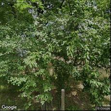 Simply Orthodontics-Framingham, dentists office located at 55 Stillman St, Framingham, MA.