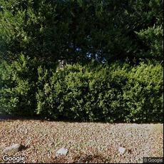 Shoreham Family Dental, dentists office located at 47 N Country Rd, Mount Sinai, NY.