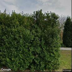 Charles R White II Family Dentistry, dentists office located at 320 Guilbeau Rd, Lafayette, LA.