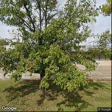 Callaway Orthodontics, dentists office located at 2102 5th St N, Columbus, MS.