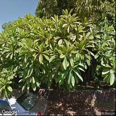 Aloha Lahaina Dentists, dentists office located at 134 Luakini St, Lahaina, HI.